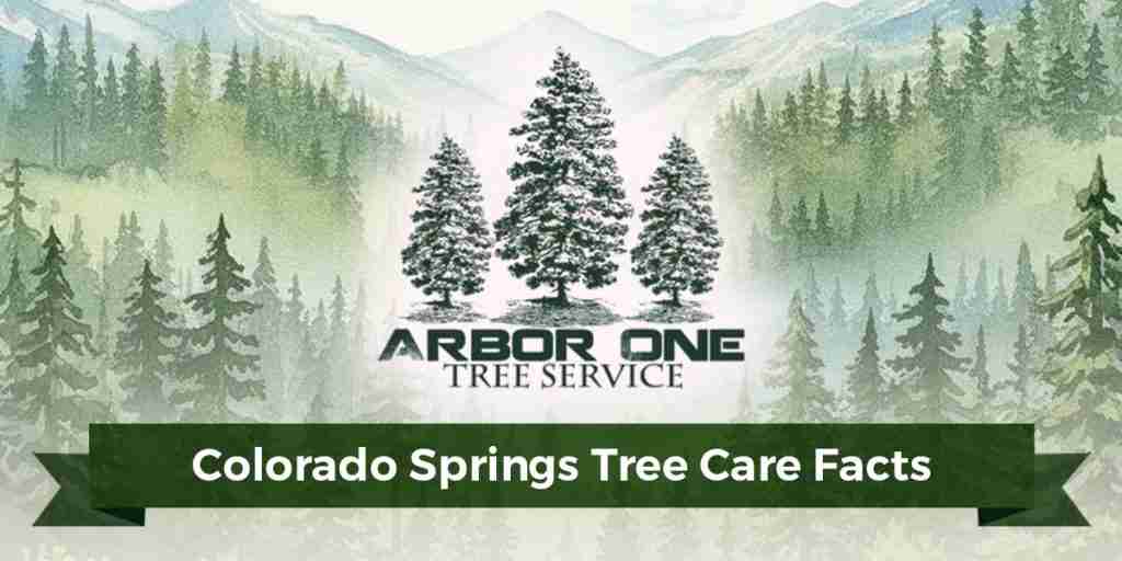 Colorado Springs Tree Care Facts